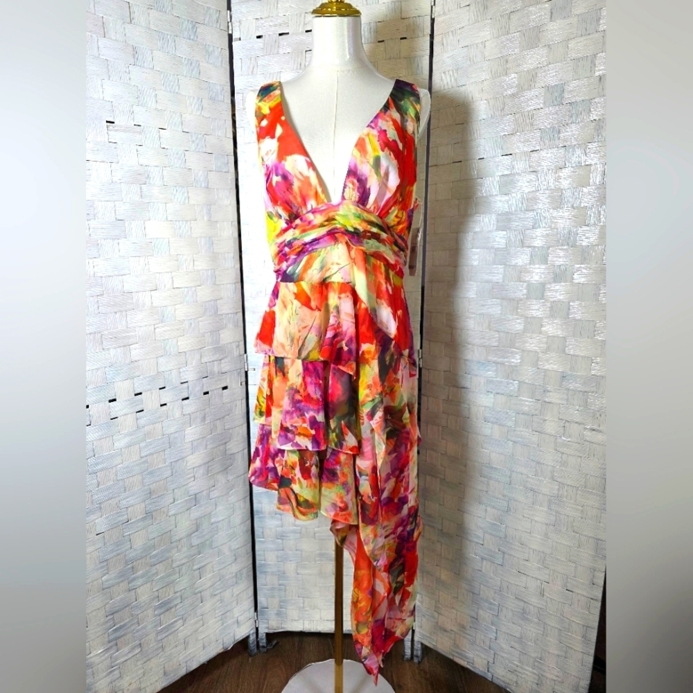 LIV FOSTER DRESS - Picture 3 of 14